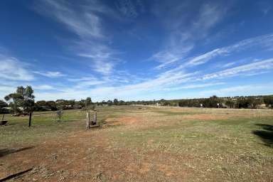 Farm For Sale - WA - Wagin - 6315 - RARE ACREAGE CLOSE TO TOWN  - SOLD BY SUZIE PERRIN  (Image 2)