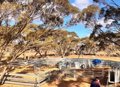 Farm For Sale - SA - Brownlow - 5374 - EXCEPTIONAL SMALL FARMING PROPERTY  (Image 2)