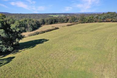 Farm For Sale - VIC - Flaggy Creek - 3875 - Lifestyle Block with Rural Views  (Image 2)