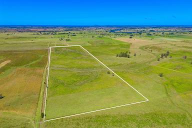 Farm For Sale - NSW - Bellimbopinni - 2440 - Prime Farming Land with Sweeping Views  (Image 2)