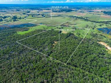 Farm For Sale - NSW - Bora Ridge - 2471 - Prime Dual -Income Farming Opportunity  (Image 2)