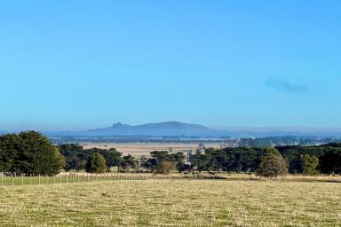 Farm For Sale - VIC - Camperdown - 3260 - Choice Lifestyle / Farming Opportunity  (Image 2)