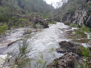 Farm Sold - NSW - Drake - 2469 - THUNDERBOLTS HIDEOUT  (Image 2)