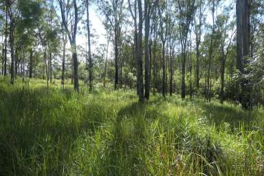 Farm Sold - NSW - Drake - 2469 - THUNDERBOLTS HIDEOUT  (Image 2)