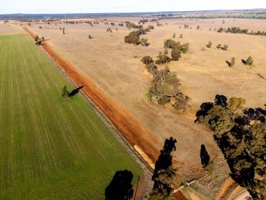 Farm For Sale - NSW - West Wyalong - 2671 - Productive Red Loam Soils Suited To Broadacre Farming  (Image 2)