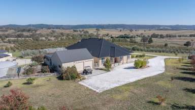 Farm For Sale - NSW - Wimbledon - 2795 - Executive living - Rural Lifestyle  (Image 2)