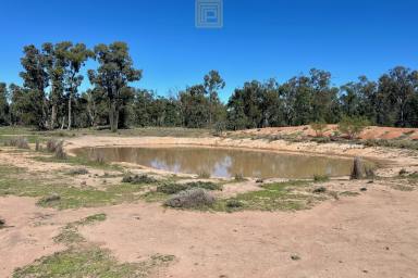 Farm For Sale - NSW - Yarrie Lake - 2388 - Grazing and Lifestyle  (Image 2)