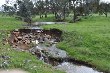 Farm Sold - SA - Bundaleer Gardens - 5491 - Tranquil Country Getaway  (Image 2)