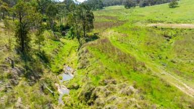 Farm For Sale - NSW - Lavington - 2641 - 90 Acres In Albury City  (Image 2)