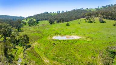 Farm For Sale - NSW - Lavington - 2641 - 90 Acres In Albury City  (Image 2)