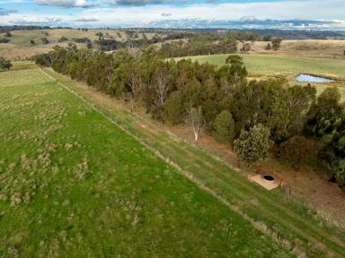 Farm Auction - NSW - Springside - 2800 - ‘Flyers Valley’ and ‘Mambilla’ - Quality Aesthetically Pleasing Country with Shelter and Water  (Image 2)