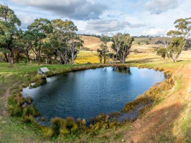 Farm Auction - NSW - Springside - 2800 - ‘Flyers Valley’ and ‘Mambilla’ - Quality Aesthetically Pleasing Country with Shelter and Water  (Image 2)