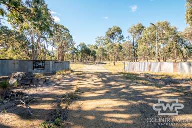 Farm For Sale - NSW - Wellingrove - 2370 - Lifestyle Retreat  (Image 2)