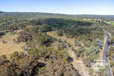 Farm For Sale - NSW - Wellingrove - 2370 - Lifestyle Retreat  (Image 2)