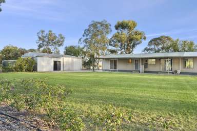 Farm Sold - SA - Renmark - 5341 - The Hobbyist's Haven  (Image 2)