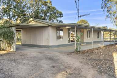 Farm Sold - SA - Renmark - 5341 - The Hobbyist's Haven  (Image 2)