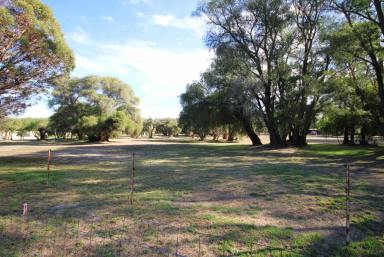 Farm For Sale - WA - Boyanup - 6237 - Lifestyle Acreage with Investment Potential  (Image 2)