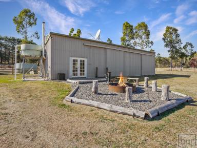 Farm For Sale - NSW - Wymah - 2640 - "Lifestyle On The Banks Of The Hume Weir"  (Image 2)