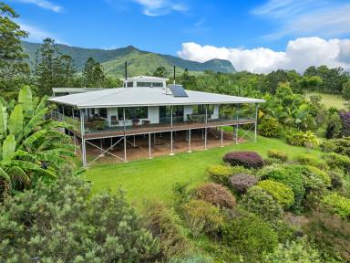 Farm For Sale - NSW - Midginbil - 2484 - DO YOU WANT SOMETHING SPECIAL CLOSE TO THE COAST?  (Image 2)