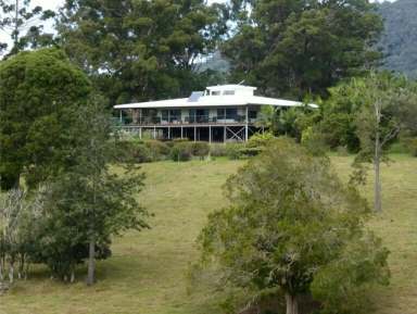 Farm For Sale - NSW - Midginbil - 2484 - BYRON ON YOUR DOORSTEP  (Image 2)