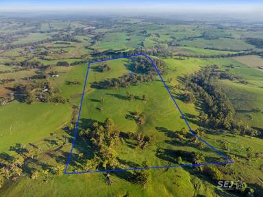 Farm For Sale - VIC - Meeniyan - 3956 - A SHELTERED 60 ACRES OF GRAZING!  (Image 2)