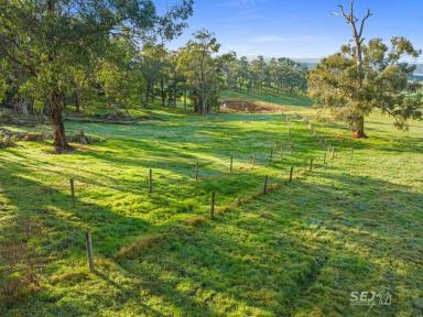 Farm For Sale - VIC - Meeniyan - 3956 - A SHELTERED 60 ACRES OF GRAZING!  (Image 2)