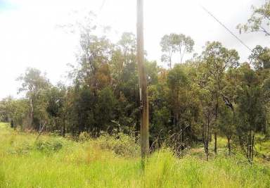 Farm For Sale - QLD - Ravenshoe - 4888 - Just over 15 acres of woodland.  (Image 2)