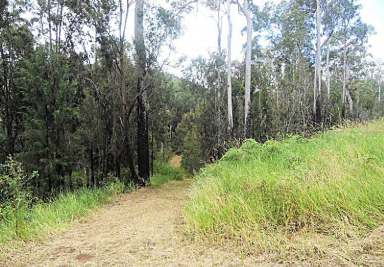 Farm For Sale - QLD - Ravenshoe - 4888 - Just over 15 acres of woodland.  (Image 2)