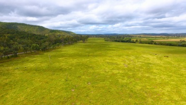 Farm For Sale - QLD - Booubyjan - 4601 - Majestic Mt Marcella: A Unique Opportunity ~ Large Scale Breeding Property  (Image 2)