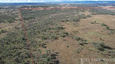 Farm For Sale - QLD - Dalby - 4405 - GRAZING COUNTRY IN A TIGHTY HELD LOCATION  (Image 2)