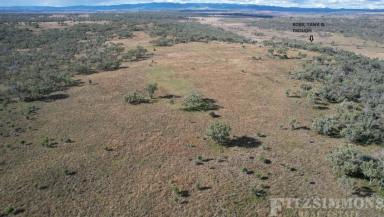 Farm For Sale - QLD - Dalby - 4405 - GRAZING COUNTRY IN A TIGHTY HELD LOCATION  (Image 2)