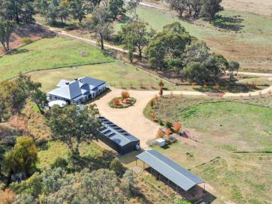 Farm Auction - NSW - Young - 2594 - No Electricity Bills  (Image 2)