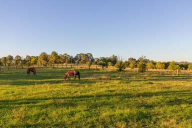 Farm For Sale - NSW - Paterson - 2421 - Riverside Elegance in Torryburn - 98 Torryburn Road, Torryburn Via Paterson  (Image 2)