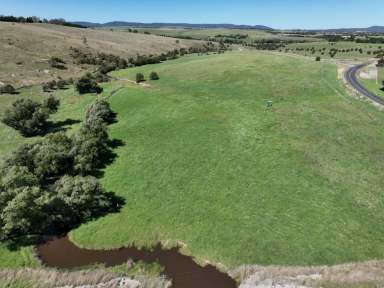 Farm For Sale - NSW - Goulburn - 2580 - Price Reduction! $990,000 Negotiable  (Image 2)