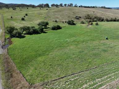 Farm For Sale - NSW - Goulburn - 2580 - Price Reduction! $990,000 Negotiable  (Image 2)