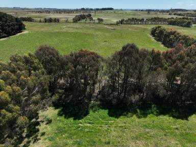Farm For Sale - NSW - Crookwell - 2583 - ***BLUE RIBBON GRAZING & FARMING OPPORTUNITY***  (Image 2)
