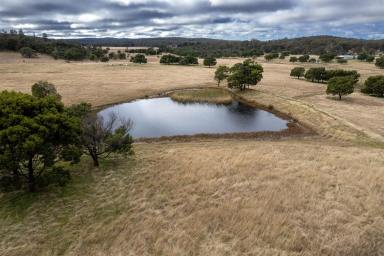Farm For Sale - NSW - Goulburn - 2580 - Affordable Lifestyle, 15 Minutes From Goulburn!!  (Image 2)