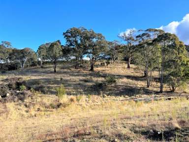 Farm For Sale - NSW - Goulburn - 2580 - 40 Acre lot, Suitable for Farming, Grazing & Recreation  (Image 2)