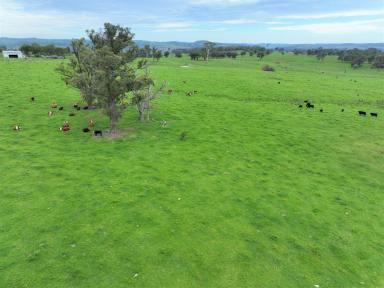 Farm For Sale - NSW - Marulan - 2579 - Marulan/ Big Hill - Grazing/ Farming/ Lifestyle Opportunity  (Image 2)