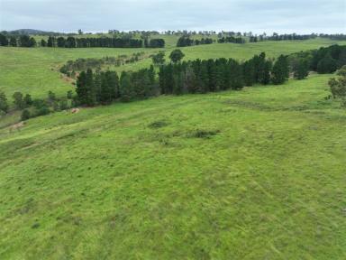 Farm For Sale - NSW - Marulan - 2579 - Rural Grazing & Lifestyle, So close to Sydney  (Image 2)