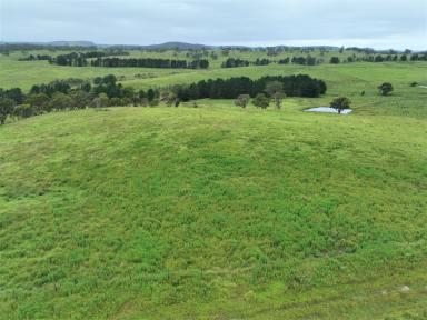 Farm For Sale - NSW - Marulan - 2579 - Rural Grazing & Lifestyle, So close to Sydney  (Image 2)