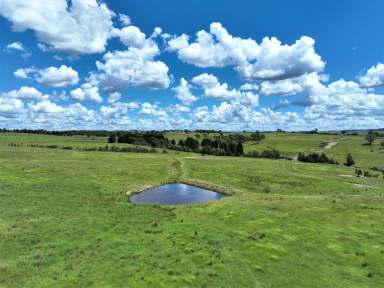 Farm For Sale - NSW - Marulan - 2579 - Rural Lifestyle Opportunity Awaits!  (Image 2)