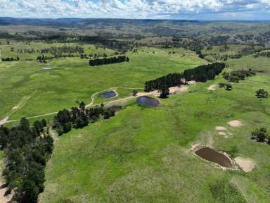 Farm For Sale - NSW - Marulan - 2579 - Rural Lifestyle Opportunity Awaits!  (Image 2)