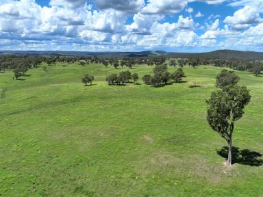 Farm For Sale - NSW - Marulan - 2579 - Rural Lifestyle so Close to Sydney  (Image 2)