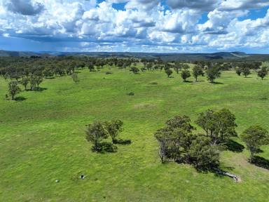 Farm For Sale - NSW - Marulan - 2579 - Rural Lifestyle so Close to Sydney  (Image 2)