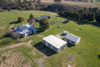 Farm For Sale - NSW - Taralga - 2580 - Impressive Farm & Lifestyle Opportunity only 15 minutes from  (Image 2)