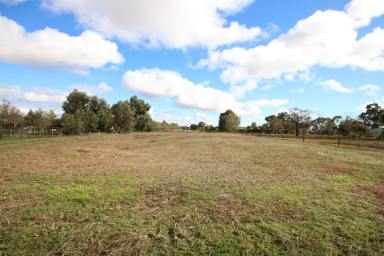 Farm For Sale - VIC - Elmore - 3558 - SPACIOUS 1 ACRE BLOCK IN TOWN  (Image 2)
