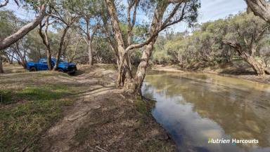 Farm For Sale - WA - Wanerie - 6503 - Welcome to "OBAN PARK" 79 Acres, backing onto the Moore River  (Image 2)