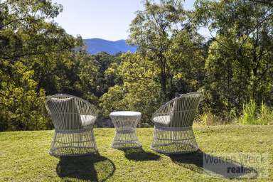 Farm For Sale - NSW - Bellingen - 2454 - Quiet Location - Living on the Edge of Town  (Image 2)