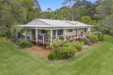 Farm For Sale - NSW - Bellingen - 2454 - Rare Opportunity - Your piece of paradise awaits!  (Image 2)